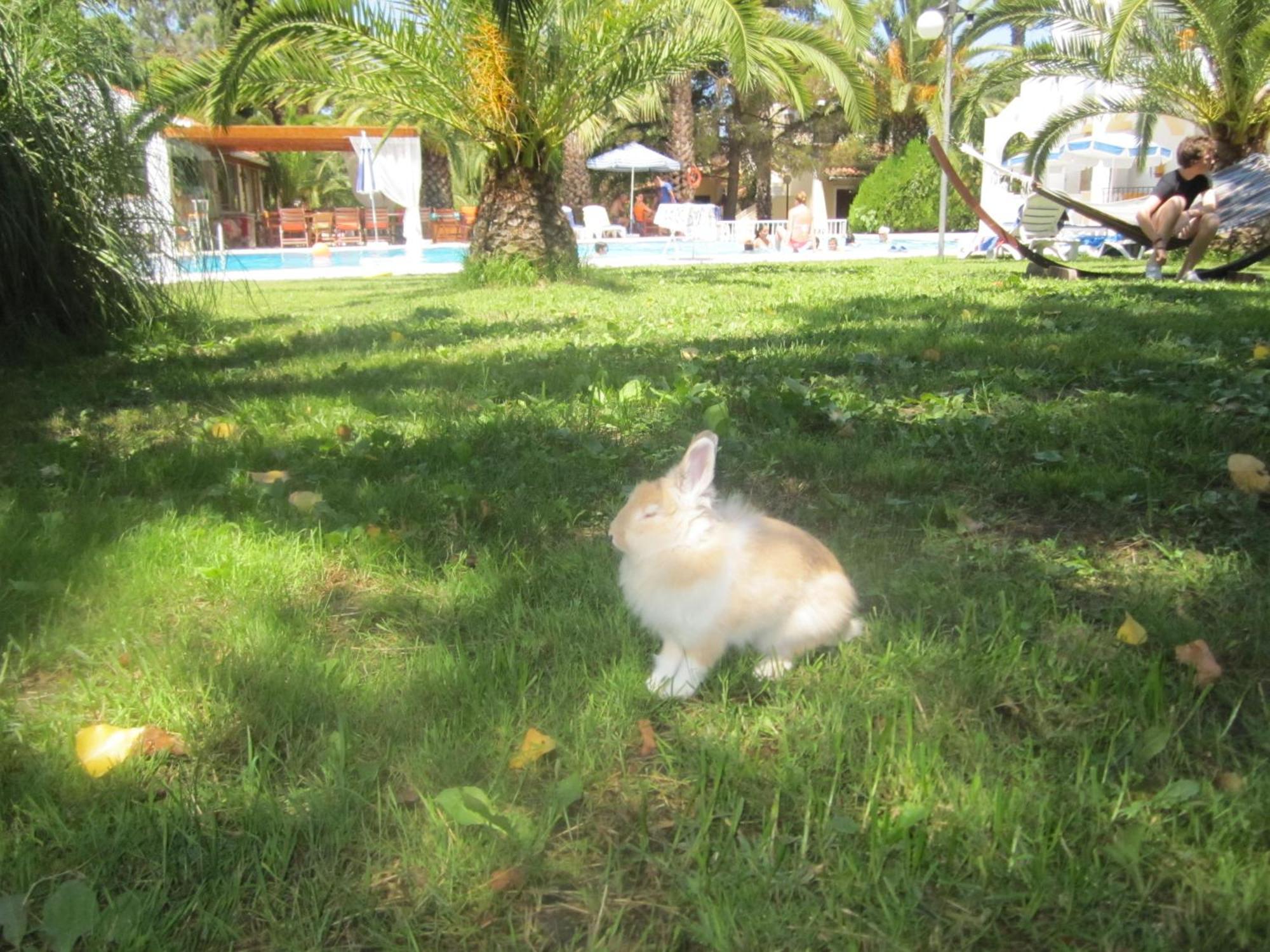 Marylin Sidari (Corfu)